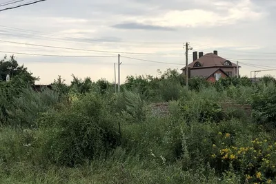 Купить земельный участок СНТ в хуторе Морской Чулек Неклиновского района,  продажа участков под садоводство. Найдено 7 объявлений.