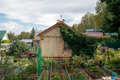 Как правильно сделать грядки на даче и сочетать овощи | GreenMarket