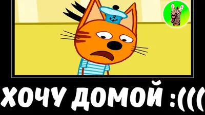 Золотой Котофонд. Хочу домой - хочу в семью