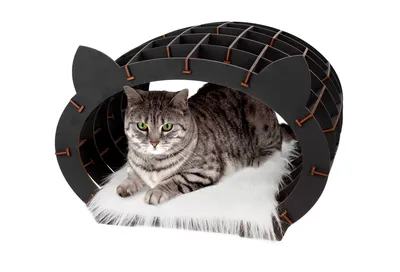 Домик для кошек когтеточки игровые комплексы Дом для кота Д-6 купить в  интернет магазине по выгодным ценам 10600.0