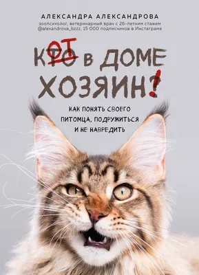 Игровой комплекс для кошек дом Pet БМФ Серый купить по цене 9652 ₽ с  доставкой в Москве и России, отзывы, фото