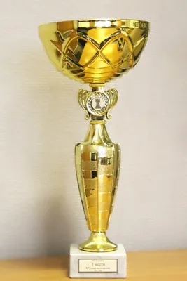 первое место награда за Кубок чемпиона Стоковое Фото - изображение  насчитывающей выигрыш, трофей: 243805598