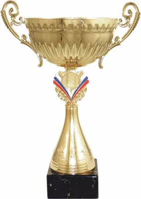 Кубок - 1 место - Спорт для всех | Спортивные достижения - ГБУ СДЦ ЛОТОС