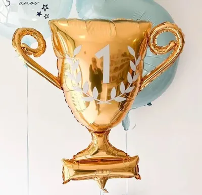 Кубок за 1 место в Первенстве по баскетболу : Факультет инновационных  технологий ТГУ (ФИТ ТГУ)