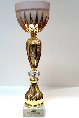 SPORT PODAROK Кубок для награждения спортивный, 1 место, с гравировкой