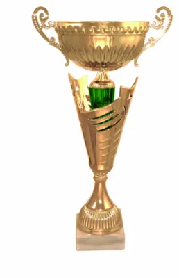 Кубок деревянный Символик 1 место купить по цене 340 ₽ в интернет-магазине  Детский мир