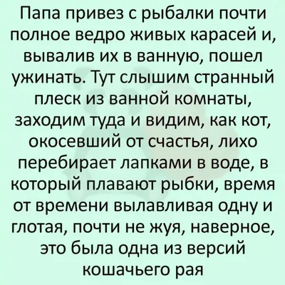 Настроение | Веселая мотивация, Смешные высказывания детей, Рамки для  детских фотографий