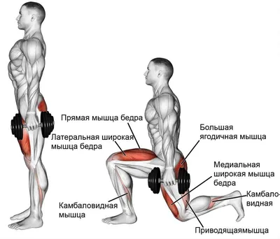 Массаж стоп ног в домашних условиях– профилактика заболеваний  опорно-двигательного аппарата