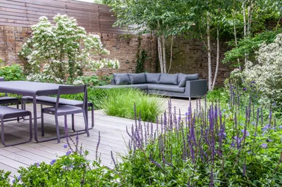 Сад недели: Палисадник перед домом в Лондоне | Houzz Россия