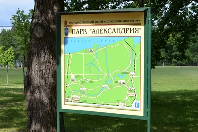 Экскурсионный поезд в Петергофе по парку «Александрия»: 🗓 расписание, ₽  цены, купить 🎟 билеты онлайн