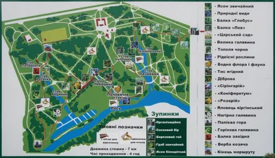 Парк «Александрия» в Петергофе — стоимость входа в парк, официальный сайт