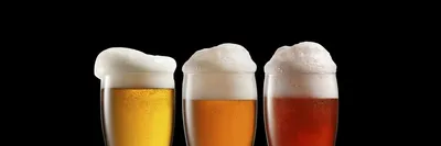 Розлив домашнего пива в стеклянные бутылки | Блог о пиве и домашнем  пивоварении