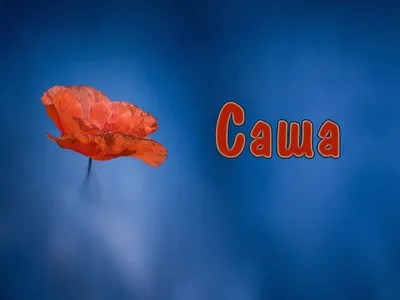 Тату с именем Саша (79 фото)