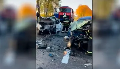 В Ярославле водитель ВАЗа врезался в дерево и скрылся с места ДТП- Яррег -  новости Ярославской области