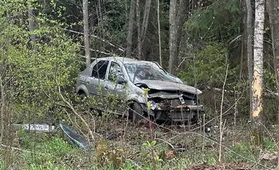 В Ярославле водитель ВАЗа врезался в дерево и скрылся с места ДТП- Яррег -  новости Ярославской области