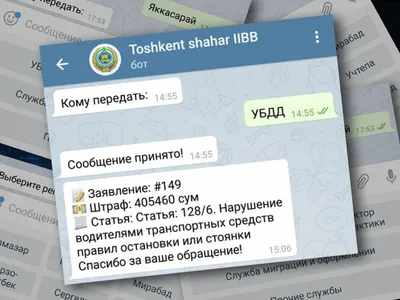 Самые популярные штрафы ПДД в Украине