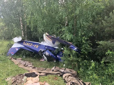 Фото с места падения самолета рядом с озером Белое › Статьи › 47новостей из  Ленинградской области