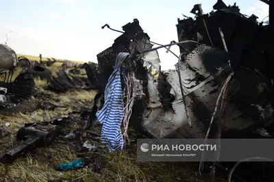 Место падения самолета ИЛ-76 ВВС Украины, сбитого ополченцами Луганска |  РИА Новости Медиабанк