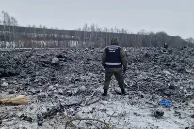Фотографии с места падения самолета в Нижегородской области опубликованы  спасателями - KP.RU