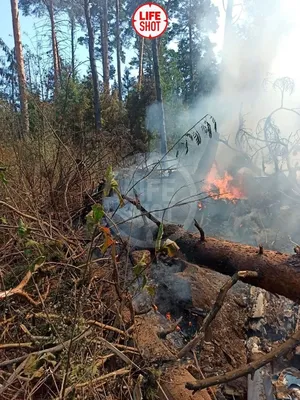 После падения самолета под Енакиево произошли взрывы, на месте работают  экстренные службы - Фоторепортажи - ДАН