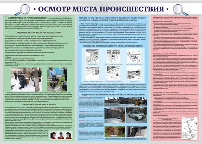 Появились фото с места убийства учительницы в Северном микрорайоне Воронежа