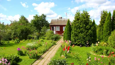 Как оформить красивый сад на неподходящем участке: простые решения 4-х  проблем | ivd.ru