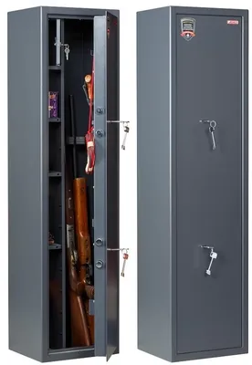 Сейф для оружия для дома на 2 ружья с трейзером №4 - купить с доставкой по  выгодным ценам в интернет-магазине OZON (827444299)