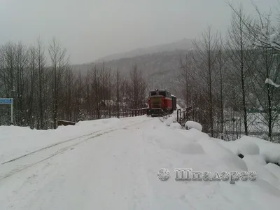 Апшеронская узкоколейка. Часть 1: Апшеронск и изгибы дороги