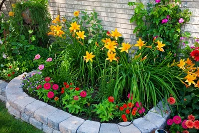 Цветник в саду: правила оформления, выбора места, растений, ограждения и  декора