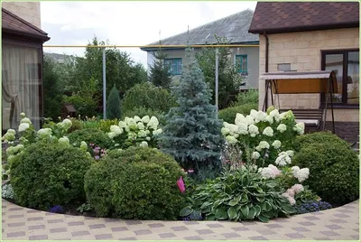 Клумба перед домом и в саду: оригинальные способы оформления цветников