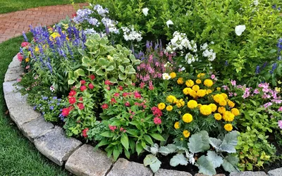 Семь типов цветника | Цветники | Журнал «Дом и сад»