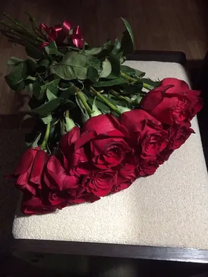 Пин от пользователя aya на доске love | Красные розы, Букет цветов,  Красивые цветы