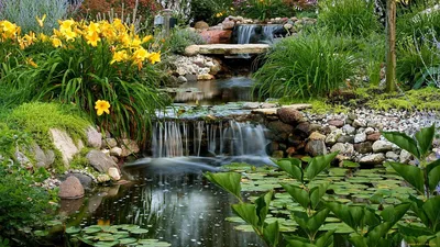 Водопад как украшение вашего сада: разновидности и особенности