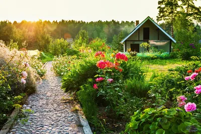 Как сделать красивые грядки на даче – новости компании FINGARDEN