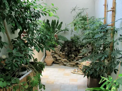 Дизайн зимнего сада в частном доме в СПБ и ЛО │ Ландшафтная студия «Орешник»