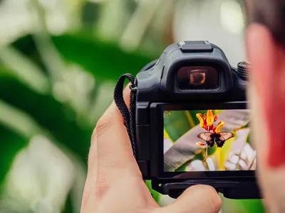 Фотосъемки: жанры, стили, локации и лучшие идеи фотосессий