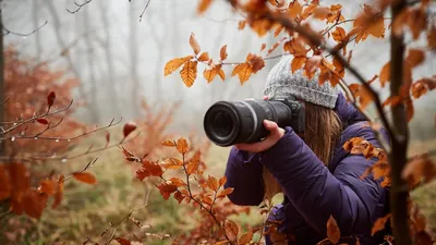 Профессия фотограф — навыки, зарплата, где учиться, плюсы и минусы