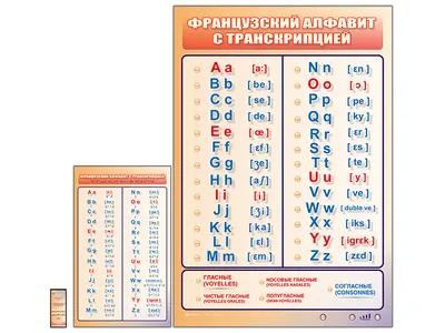 Французский алфавит: 32 цветные карточки со стихами и таблицами.  Методическое сопровождение образовательной деятельности – купить по цене:  139,50 руб. в интернет-магазине УчМаг