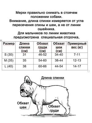 Брошь французский бульдог. Брошь по фото. Брошь собака. Портрет собаки в  интернет-магазине Ярмарка Мастеров по цене 13400 ₽ – TIL8CBY |  Брошь-булавка, Санкт-Петербург - доставка по России