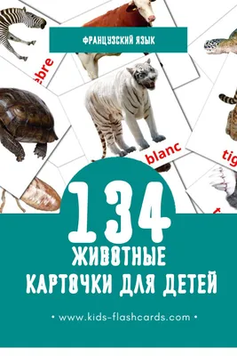 Иванченко А. И. Французский язык. Лексика в картинках (2-3 кл.) купить |  КАРО