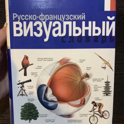 Книга \"Французский язык. 4-в-1: грамматика, разговорник, французско-русский  словарь, русско-французский словарь\" - купить в Германии | BOOQUA.de