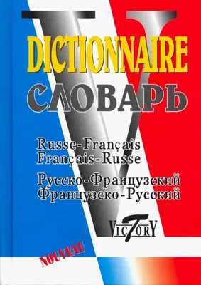 Французско-русский, русско-французский словарь для школьников (и  грамматика) купить по цене 100 ₽ в интернет-магазине KazanExpress