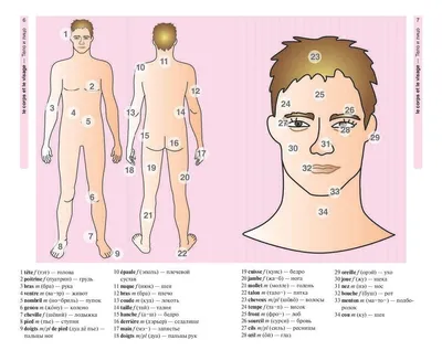 12 Бесплатных Карточек Основные цвета на Французском | PDF