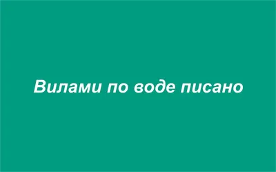 Магия языка. Практика 15. Совместный урок с Магией животных