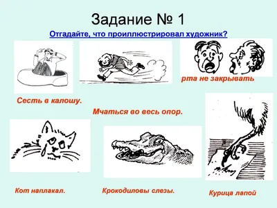 Словарик «Английские фразеологизмы в картинках» для 1-4 классов купить  онлайн | Вако