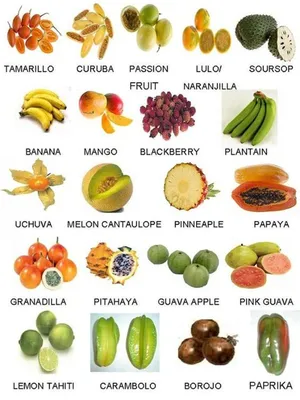 Виды фруктов список с (76 фото) »