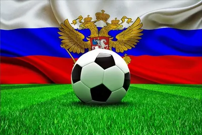 Сборная России одержала первую за полтора года домашнюю победу :: Футбол ::  РБК Спорт