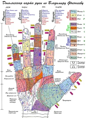 Что линия сердца на ладони может рассказать о вашей личной жизни? |  Безумная луна | Deviant Moon | Дзен