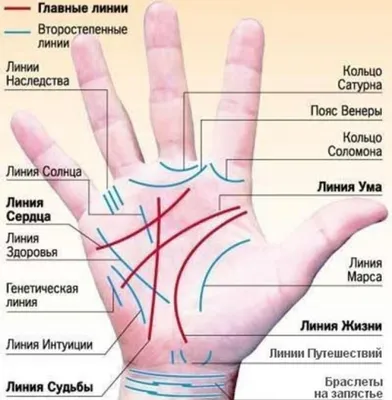 хиромантия бесплатная таблица с разъяснениями фото: 6 тыс изображений  найдено в Яндекс.Картинках | Хиромантия, Карта, Астрология