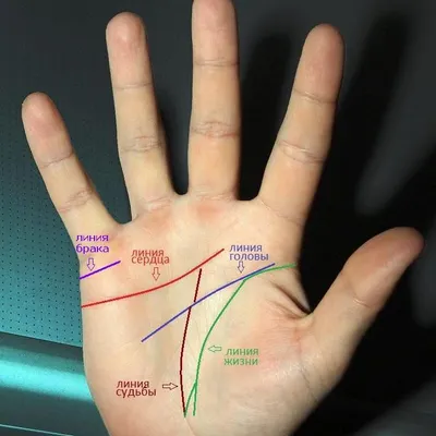 Как читать линии на руках: правила и особенности — Астрология